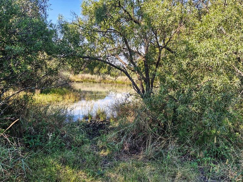 5 Bedroom Property for Sale in Swartruggens North West